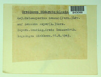 Image Associated With the Occurence